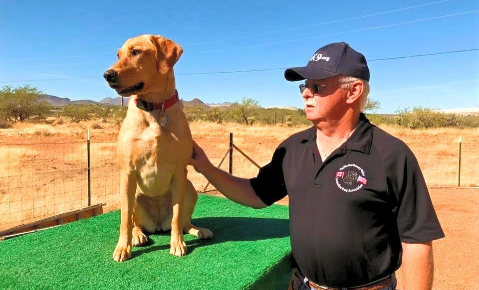 Webinar: Implementing Double Blind exercises for your Detection Dog